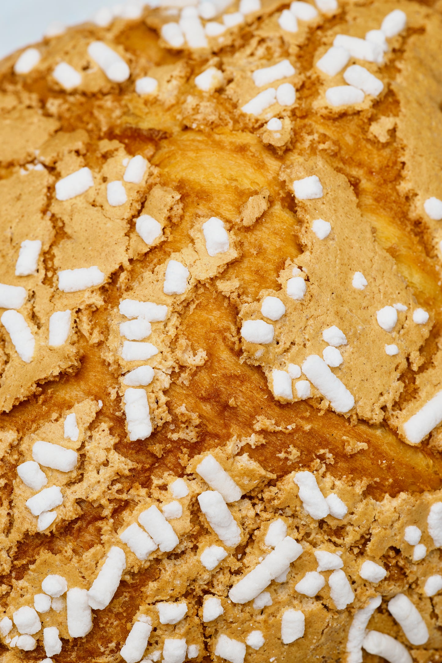 Colomba Artigianale Albicocca e Caramello